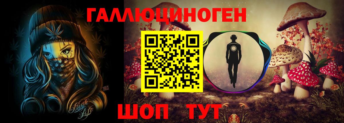 Галлюциногенные грибы Psilocybe Азов
